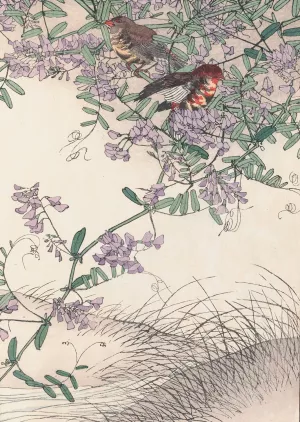 Keinen kacho gafu, Pl.16 by Imao Keinen Oil Painting
