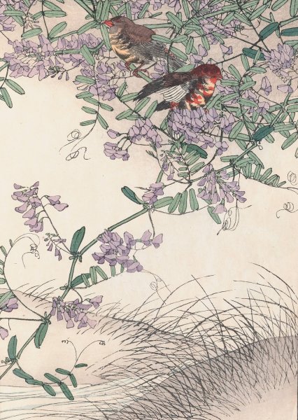 Keinen kacho gafu, Pl.16  by Imao Keinen - Hand-Painted Oil Painting Reproduction