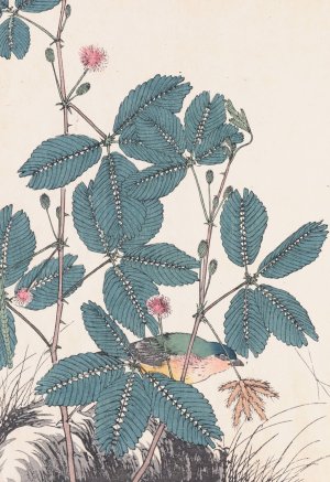 Keinen kacho gafu, Pl.17 by Imao Keinen Oil Painting