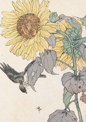 Keinen kacho gafu, Pl.18 by Imao Keinen Oil Painting