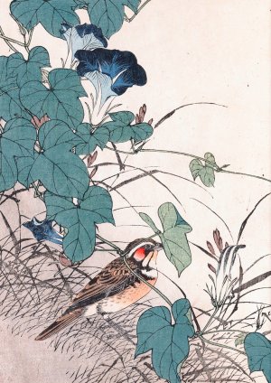 Keinen kacho gafu, Pl.19 by Imao Keinen Oil Painting