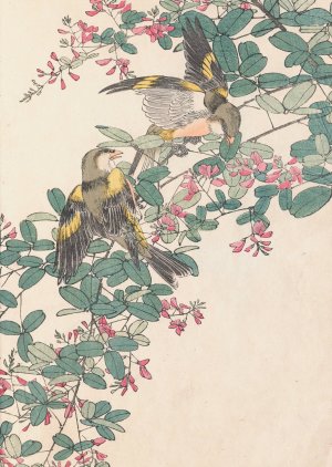 Keinen kacho gafu, Pl.20 by Imao Keinen Oil Painting