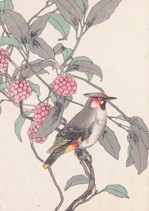 Keinen kacho gafu, Pl.21 by Imao Keinen Oil Painting