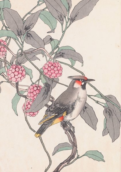 Keinen kacho gafu, Pl.21  by Imao Keinen - Hand-Painted Oil Painting Reproduction
