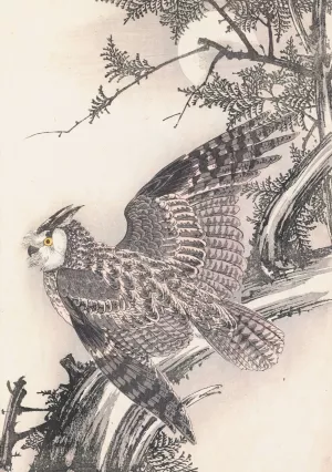 Keinen kacho gafu, Pl.22 by Imao Keinen Oil Painting