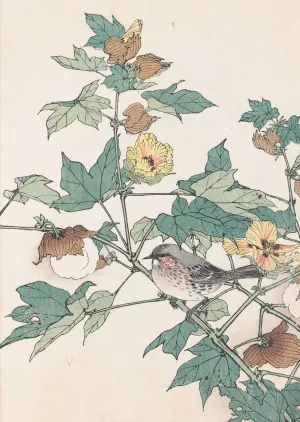 Keinen kacho gafu, Pl.24 by Imao Keinen Oil Painting