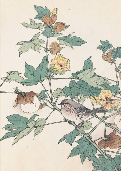 Keinen kacho gafu, Pl.24  by Imao Keinen - Hand-Painted Oil Painting Reproduction
