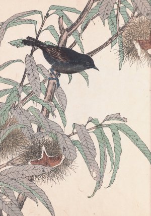 Keinen kacho gafu, Pl.25 by Imao Keinen Oil Painting
