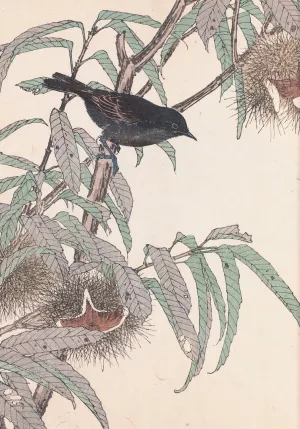 Keinen kacho gafu, Pl.25 by Imao Keinen Oil Painting