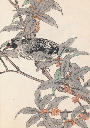Keinen kacho gafu, Pl.26 by Imao Keinen Oil Painting