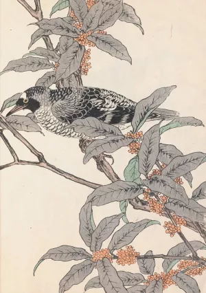 Keinen kacho gafu, Pl.26 Oil painting by Imao Keinen