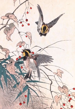 Keinen kacho gafu, Pl.27 by Imao Keinen Oil Painting