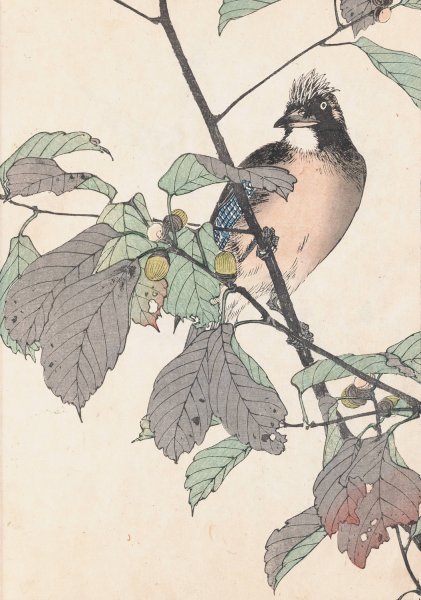 Keinen kacho gafu, Pl.28  by Imao Keinen - Hand-Painted Oil Painting Reproduction