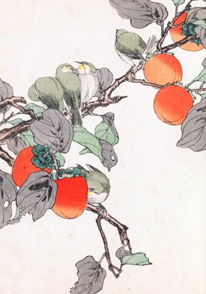 Keinen kacho gafu, Pl.29 by Imao Keinen Oil Painting
