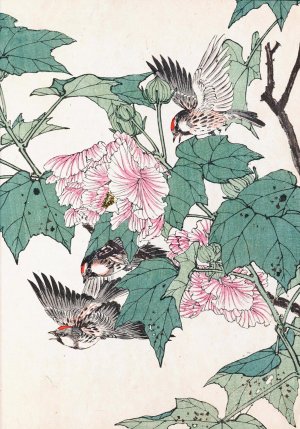 Keinen kacho gafu, Pl.30 by Imao Keinen Oil Painting