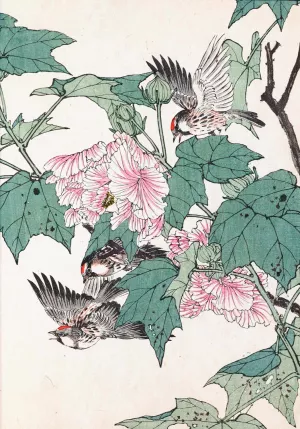 Keinen kacho gafu, Pl.30 by Imao Keinen Oil Painting