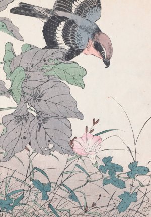 Keinen kacho gafu, Pl.32 by Imao Keinen Oil Painting