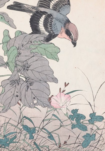 Keinen kacho gafu, Pl.32  by Imao Keinen - Hand-Painted Oil Painting Reproduction