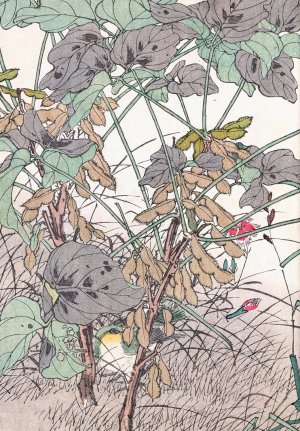 Keinen kacho gafu, Pl.33 by Imao Keinen Oil Painting