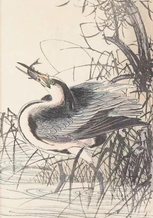 Keinen kacho gafu, Pl.34 by Imao Keinen Oil Painting