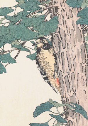 Keinen kacho gafu, Pl.36 by Imao Keinen Oil Painting