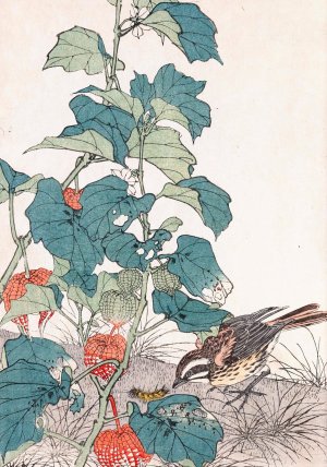 Keinen kacho gafu, Pl.37 by Imao Keinen Oil Painting