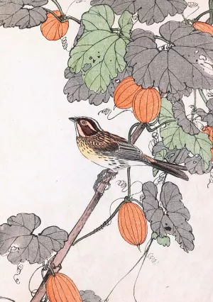 Keinen kacho gafu, Pl.38 by Imao Keinen Oil Painting