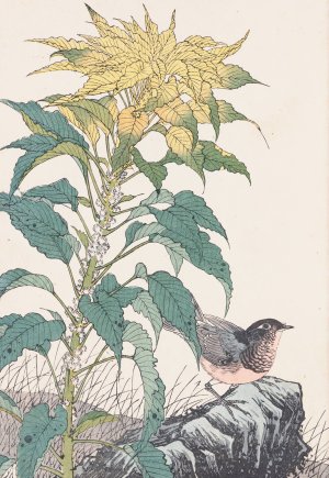 Keinen kacho gafu, Pl.39 by Imao Keinen Oil Painting