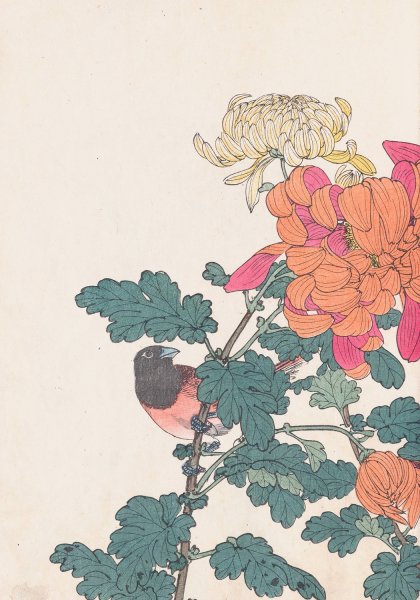 Keinen kacho gafu, Pl.41  by Imao Keinen - Hand-Painted Oil Painting Reproduction