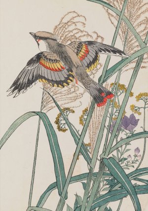 Keinen kacho gafu, Pl.42 by Imao Keinen Oil Painting