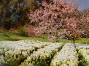 Spring Blossom Oil Painting by Losif Evstafevich Krachkovsky - Bestsellers