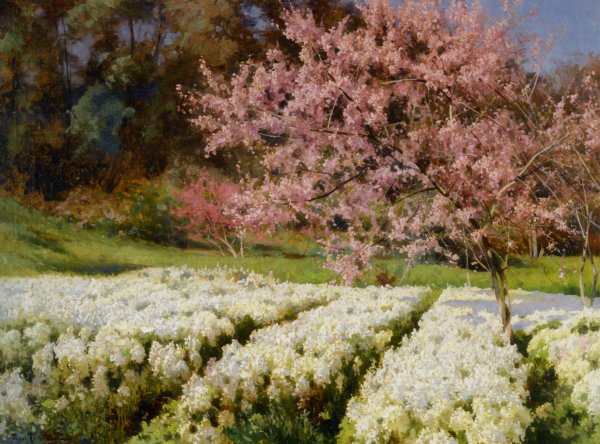 Main Product Photo of Spring Blossom Painting by Losif Evstafevich Krachkovsky