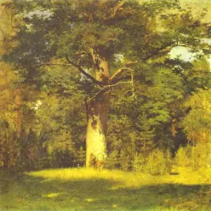 Oak by Isaac Ilich Levitan Oil Painting