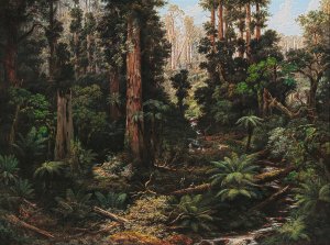 In the Sassafras Valley, Victoria by Isaac Whitehead Oil Painting