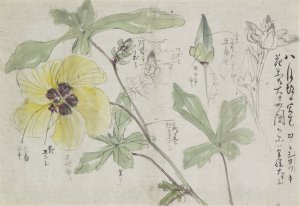 Schetsblad met malve by Ishikawa Kazan Oil Painting