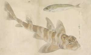 Twee vissen; poon en haring by Ishikawa Kazan Oil Painting