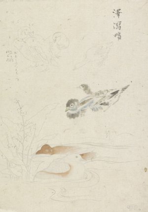 Watervogels by Ishikawa Kazan Oil Painting