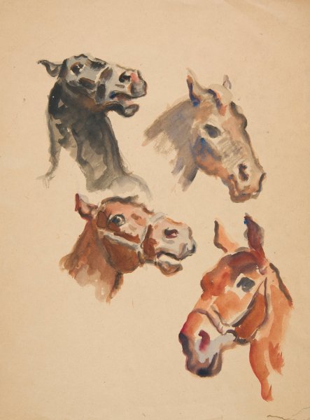 Main Product Photo of Studia lbow konskich  Painting by Ivan Ivanec