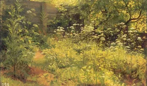 Aegopodium, Pargolovo (etude) Oil painting by Ivan Ivanovich Shishkin