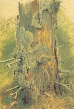 Bark On Dry Up Tree Study