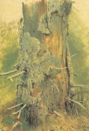 Bark On Dry Up Tree Study by Ivan Ivanovich Shishkin Oil Painting