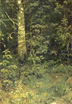 Birch and Pocks Etude by Ivan Ivanovich Shishkin Oil Painting