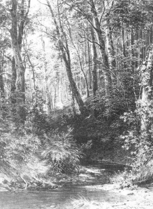 Brook in a Forest painting by Ivan Ivanovich Shishkin