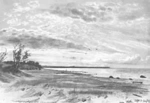 Coast of a sea, Mery-Hovy by Ivan Ivanovich Shishkin - Oil Painting Reproduction