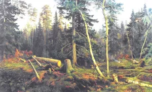 Cutting of Wood by Ivan Ivanovich Shishkin - Oil Painting Reproduction