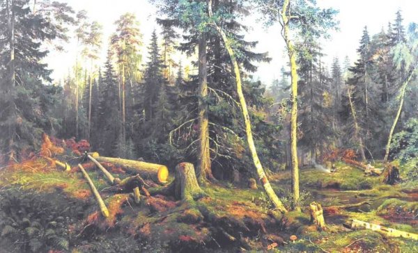 Main Product Photo of Cutting of Wood Painting by Ivan Ivanovich Shishkin