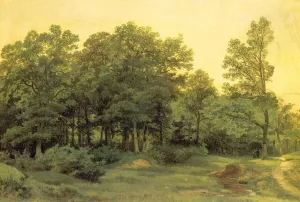 Deciduous Forest by Ivan Ivanovich Shishkin Oil Painting
