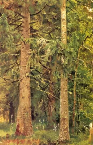 Firry Forest etude by Ivan Ivanovich Shishkin Oil Painting