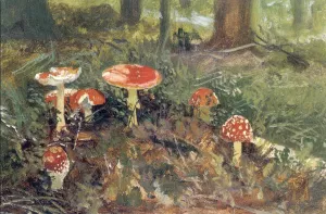 Fly Agarics etude by Ivan Ivanovich Shishkin - Oil Painting Reproduction