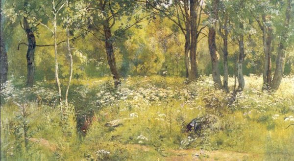 Main Product Photo of Grassy glades of the forest (etude) Painting by Ivan Ivanovich Shishkin